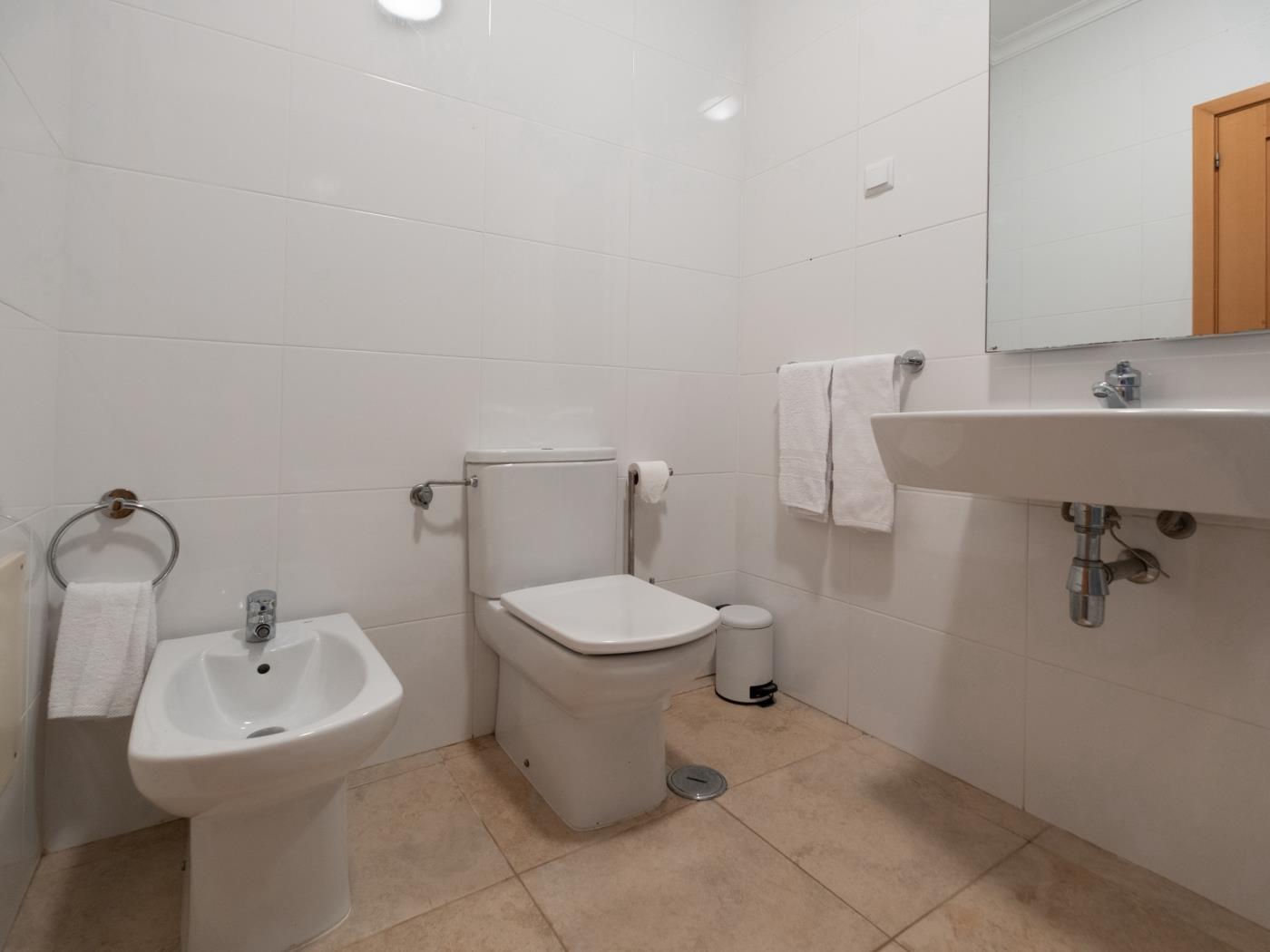 image Quinta das Palmeiras 18