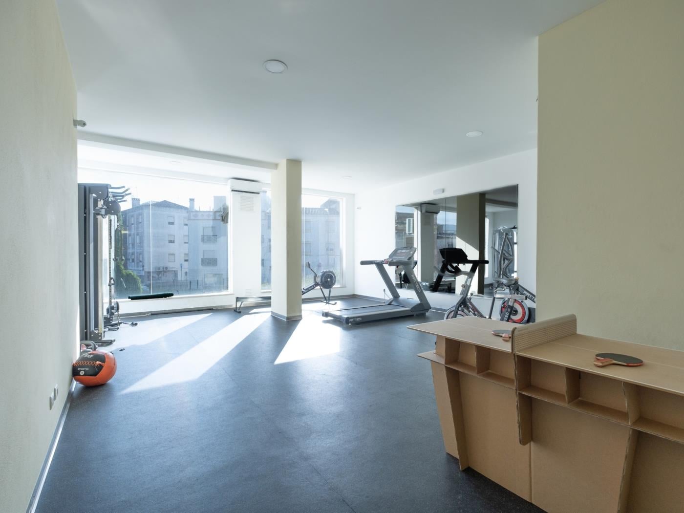 image Quinta das Palmeiras 23