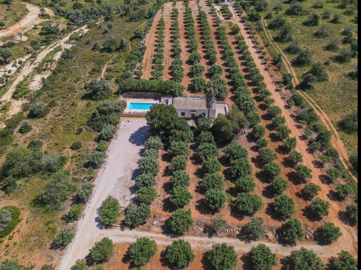 image Quinta de Santa Teresa 22