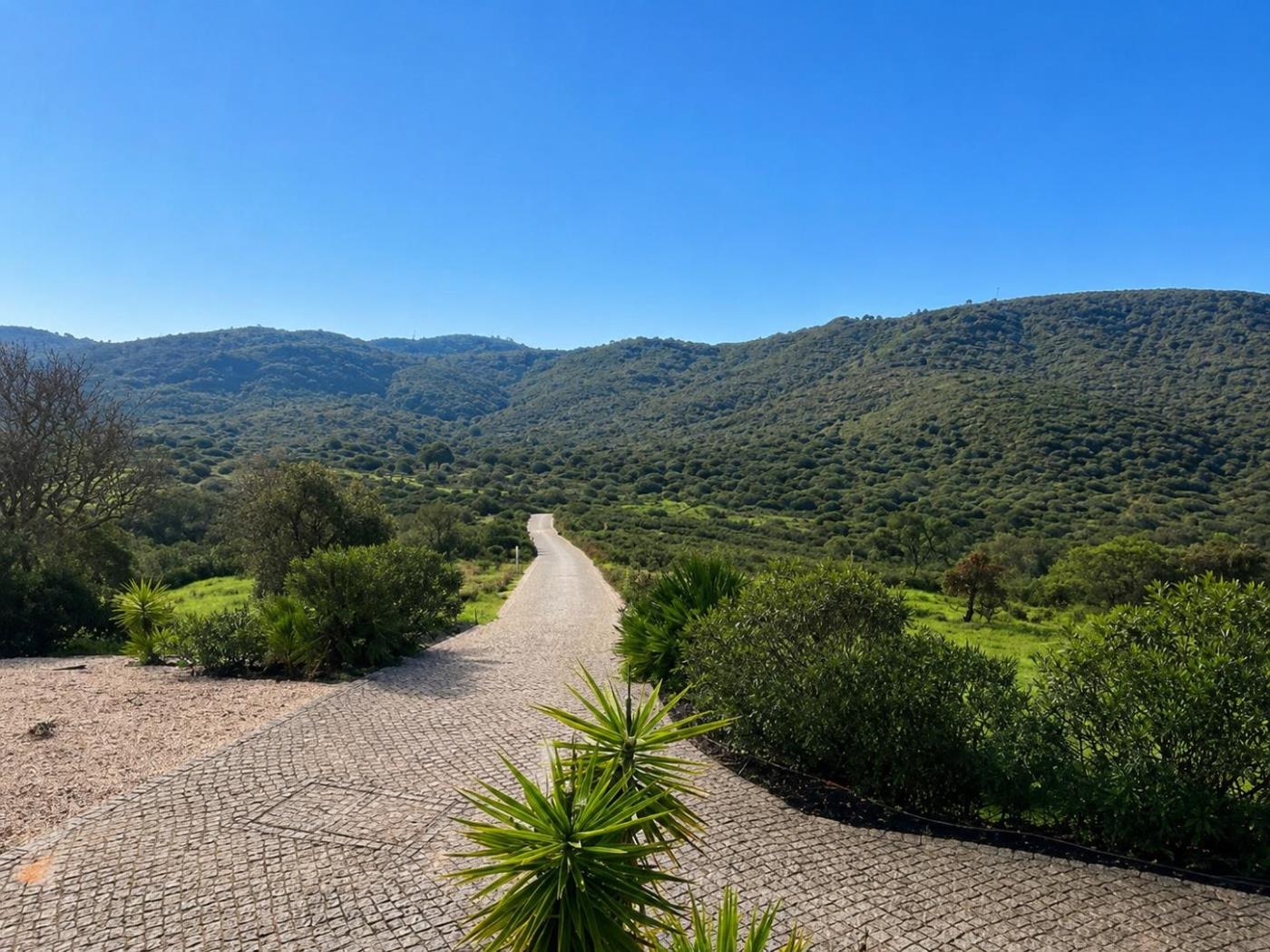 image Villa Sernadinha | Infinity Pool, Lake & Stunning Mountain Views 46