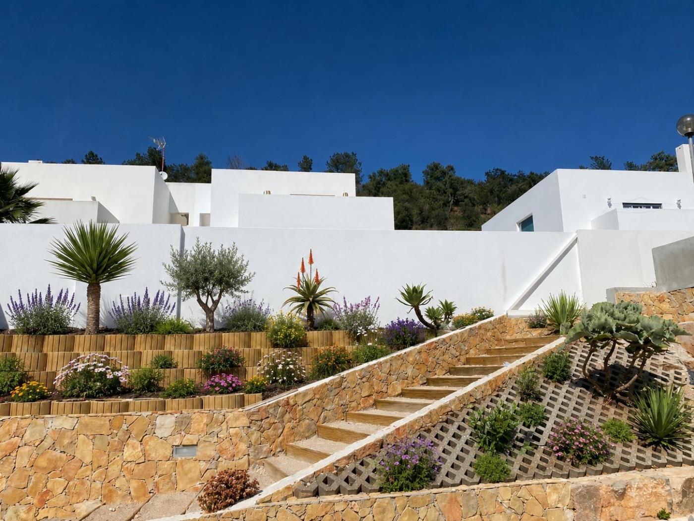 image Algarve Oasis 7